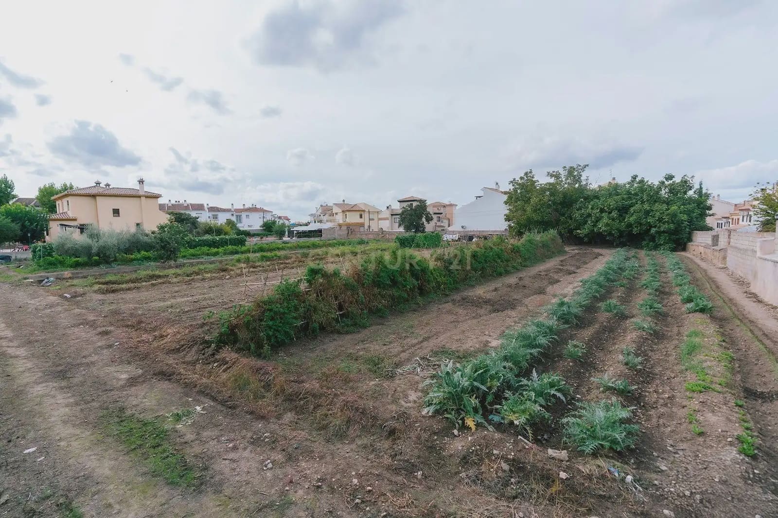 Solar/Parcela en La Zubia en venta - 842.490 € (Ref: 10172351)
