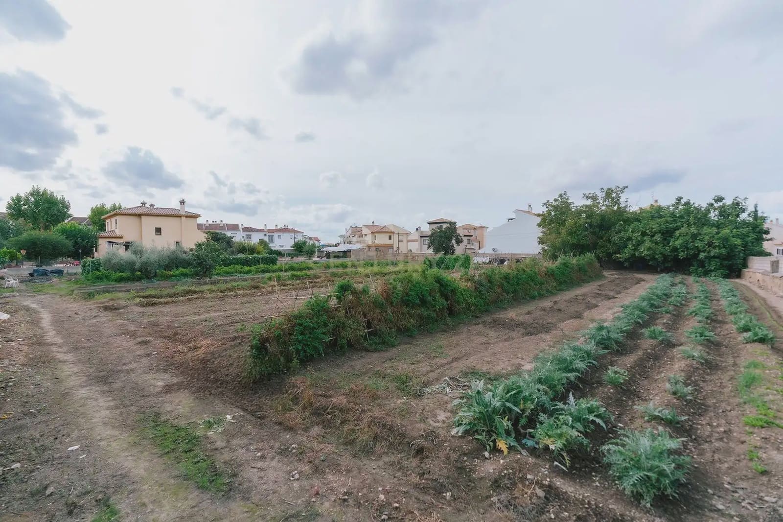 Solar/Parcela en La Zubia en venta - 842.490 € (Ref: 10172351)