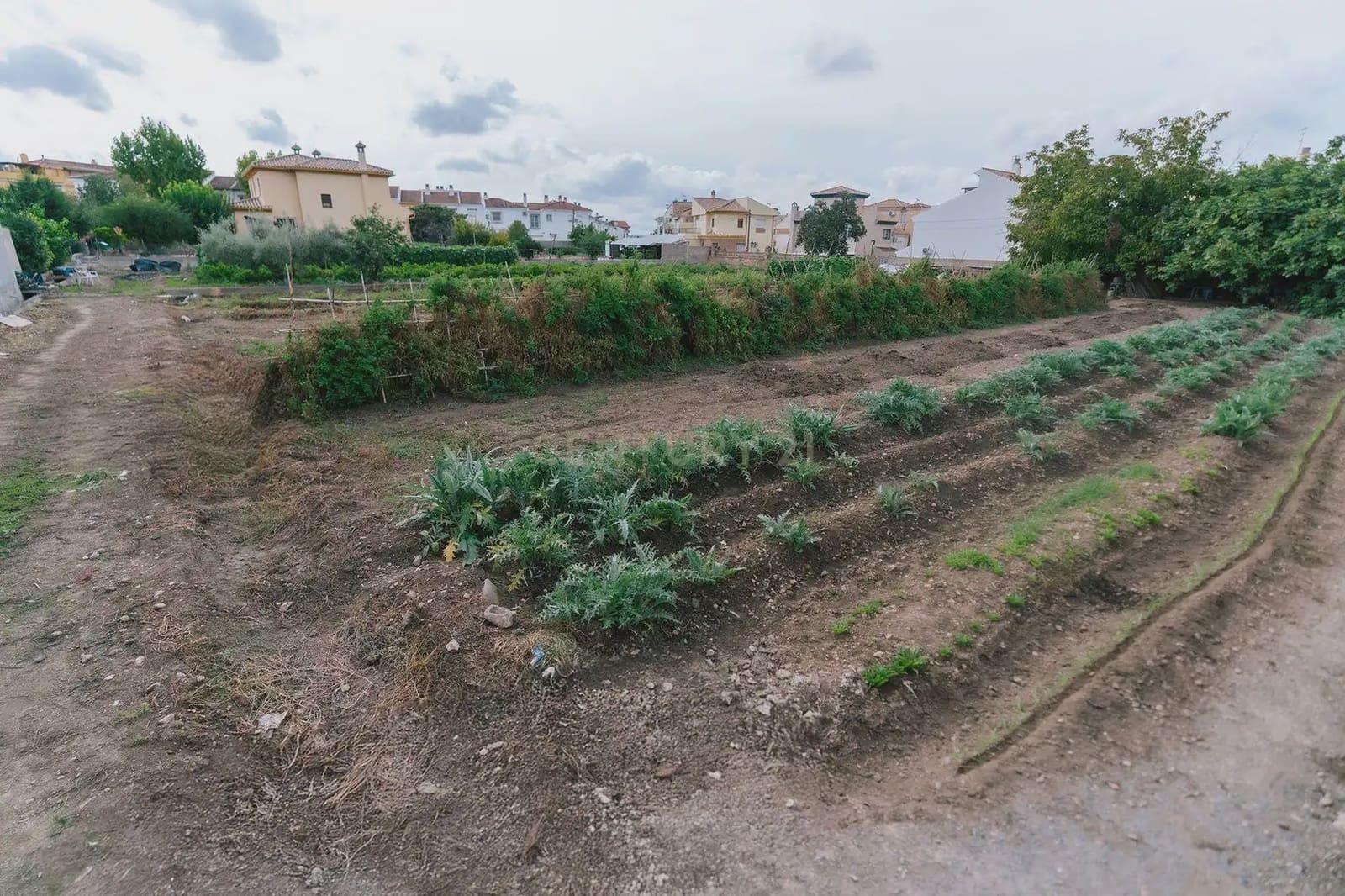 Solar/Parcela en La Zubia en venta - 842.490 € (Ref: 10172351)