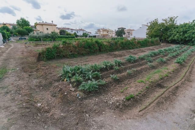 Area Edificabile in vendita in La Zubia - 842.490 € (Rif: 10172351)