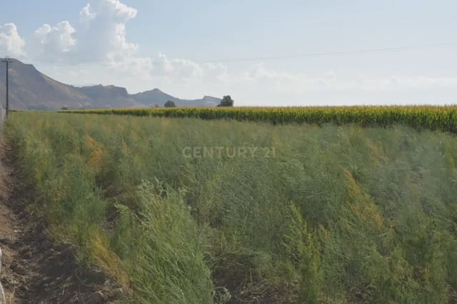 Grunde uden byggetilladelser til salg i Pinos Puente - € 69.000 (Ref: 9158438)