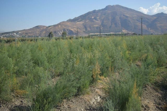 Grunde uden byggetilladelser til salg i Pinos Puente - € 69.000 (Ref: 9158438)