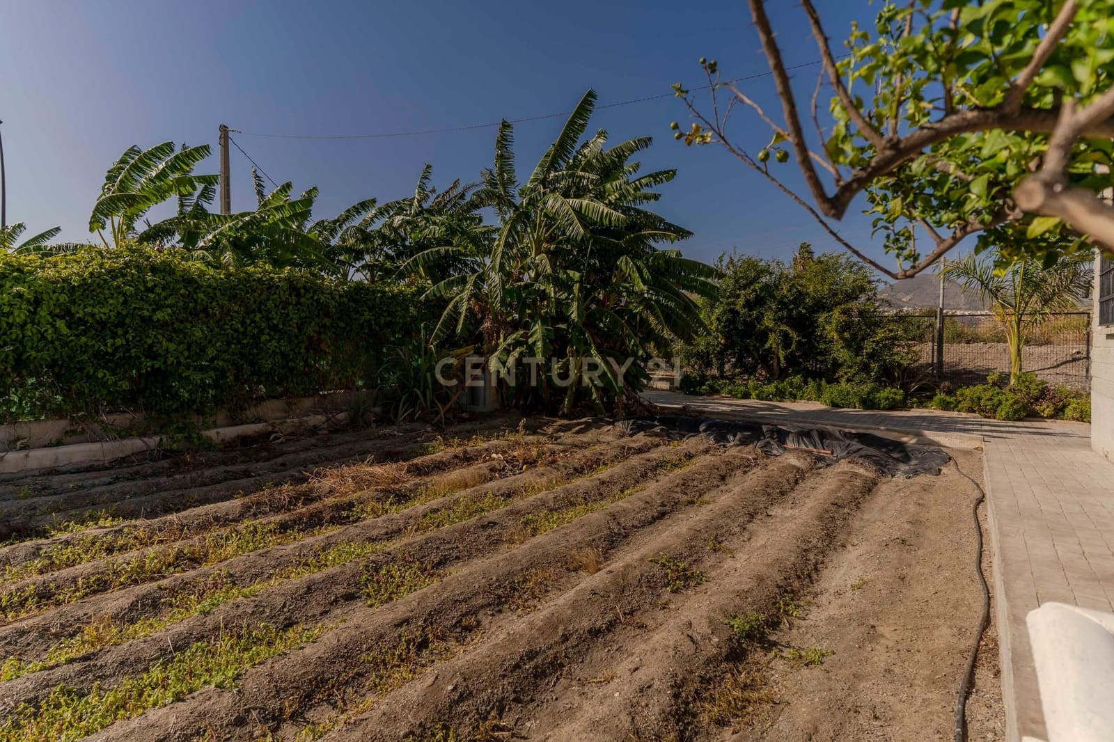 1 soverom Finca/Herregård til salgs i Motril med svømmebasseng garasje - € 219 000 (Ref: 9289569)