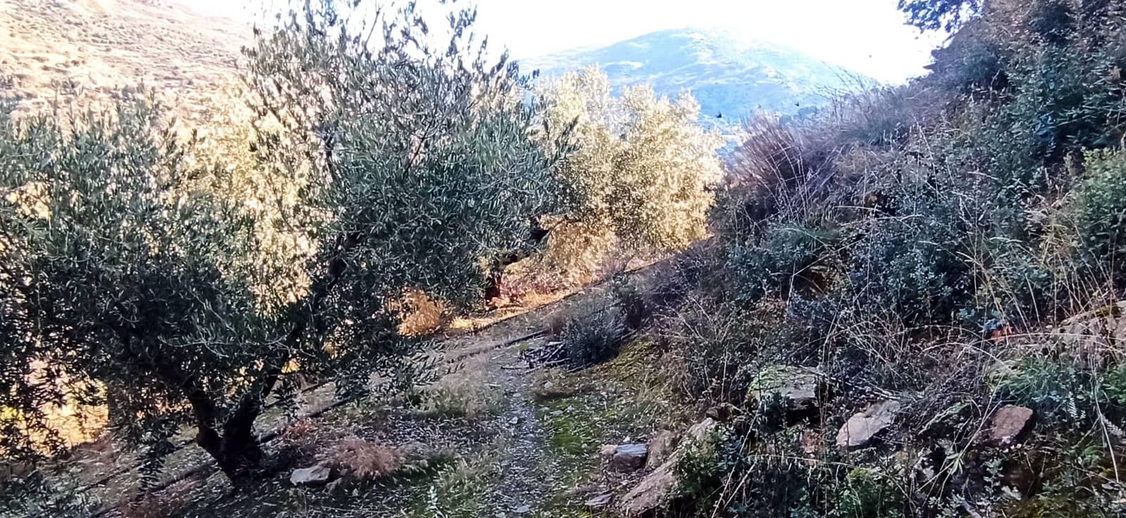 Grunde uden byggetilladelser til salg i Guejar Sierra - € 49.000 (Ref: 9289672)