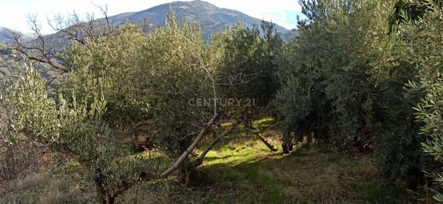 Grunde uden byggetilladelser til salg i Güéjar Sierra - € 49.000 (Ref: 9289672)