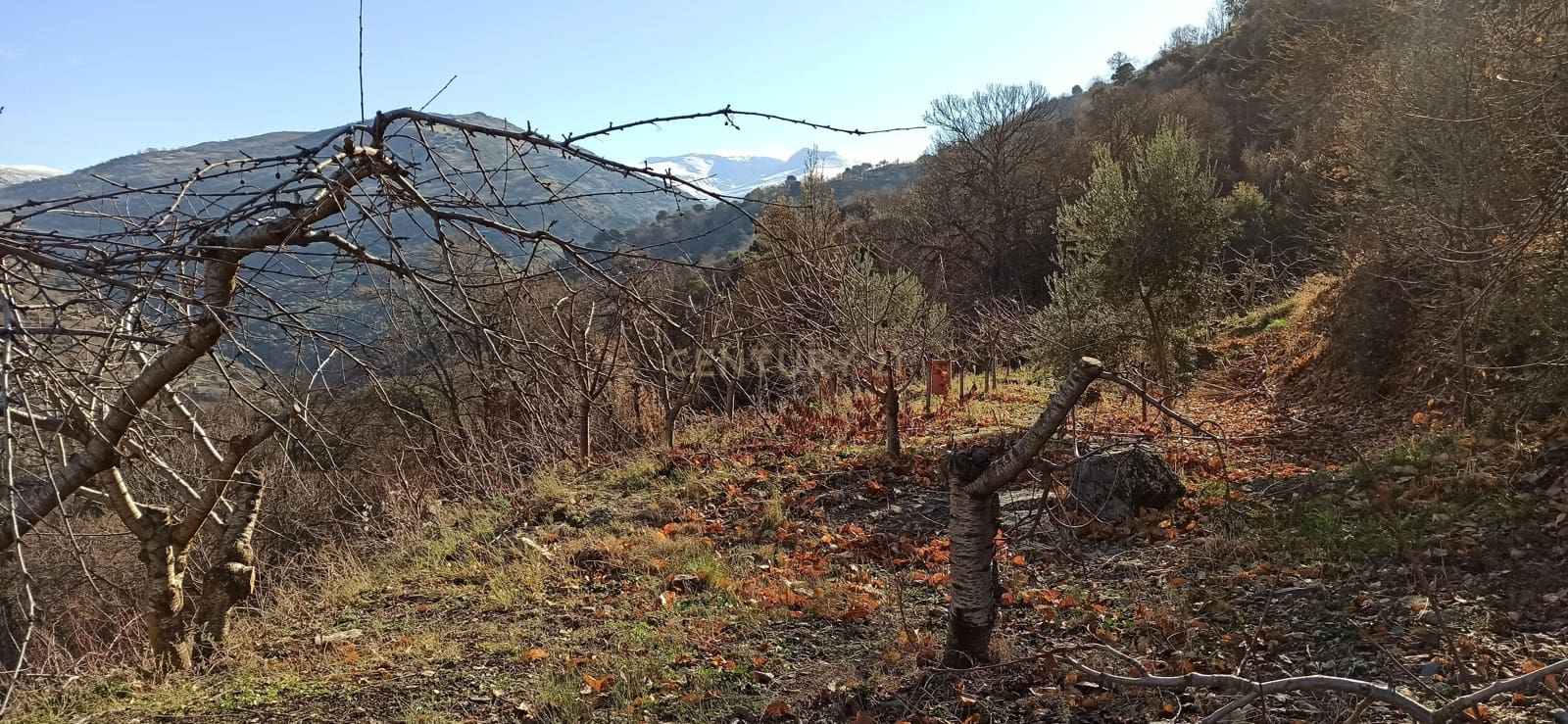 Grunde uden byggetilladelser til salg i Guejar Sierra - € 49.000 (Ref: 9289672)