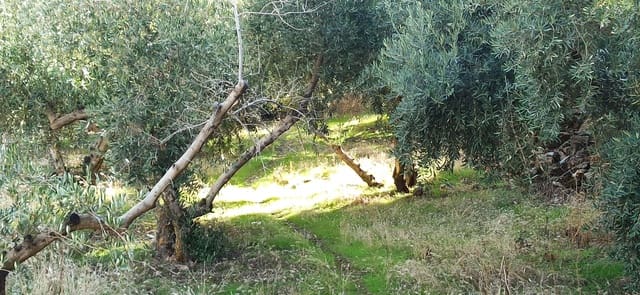 Grunde uden byggetilladelser til salg i Güéjar Sierra - € 49.000 (Ref: 9289672)