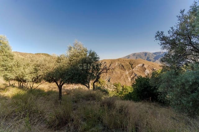 Grunde uden byggetilladelser til salg i Carataunas - € 75.000 (Ref: 9289674)