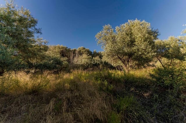 Grunde uden byggetilladelser til salg i Carataunas - € 75.000 (Ref: 9289674)