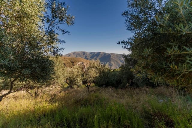 Grunde uden byggetilladelser til salg i Carataunas - € 75.000 (Ref: 9289674)