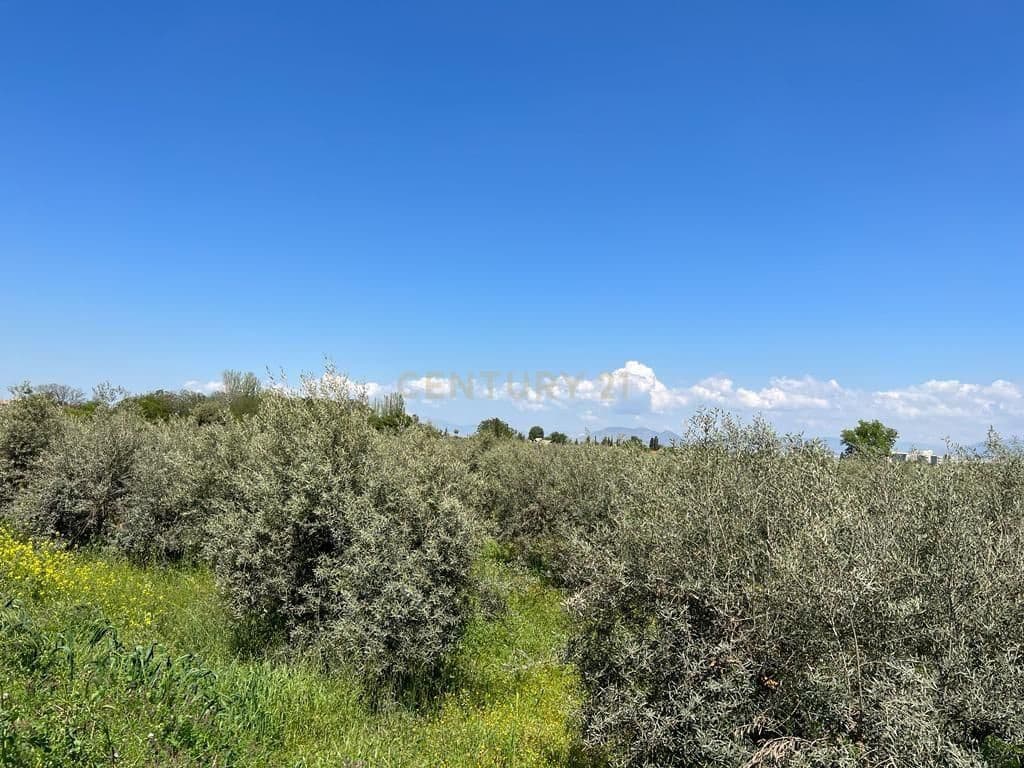 Finca/Landehus til salg i La Zubia - € 580.000 (Ref: 9289675)