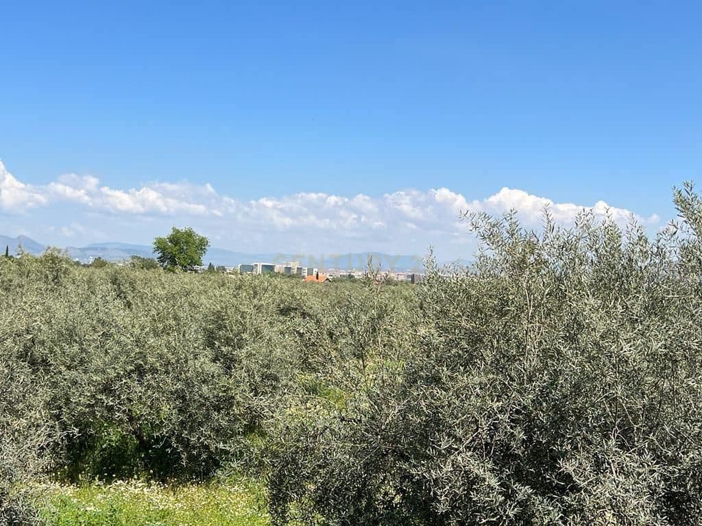 Finca/Landehus til salg i La Zubia - € 580.000 (Ref: 9289675)