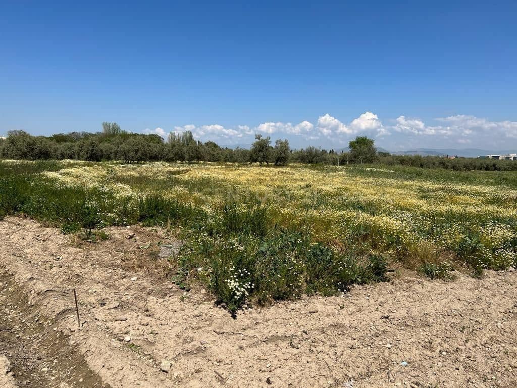 Finca/Landehus til salg i La Zubia - € 580.000 (Ref: 9289675)