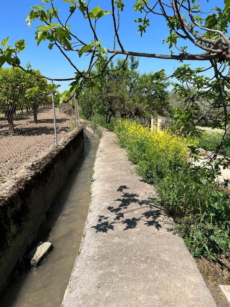 Finca/Landehus til salg i La Zubia - € 580.000 (Ref: 9289675)