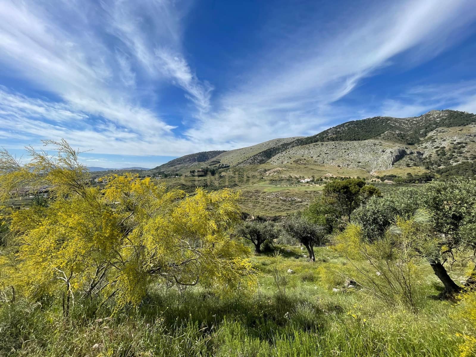 Byggegrund til salg i Viznar - € 89.000 (Ref: 9289682)