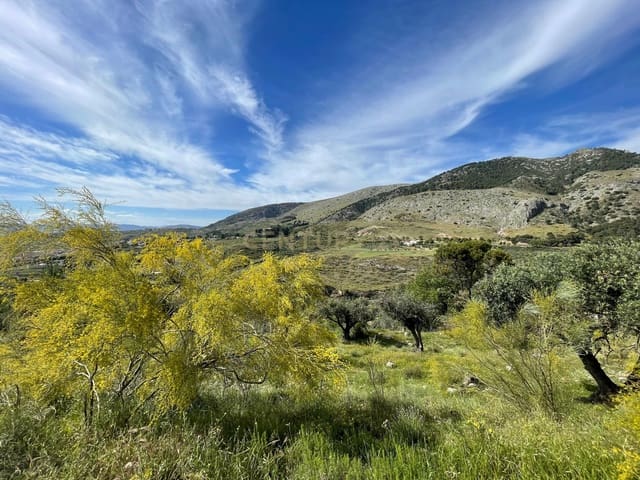 Bouwgrond te koop in Víznar - € 89.000 (Ref: 9289682)