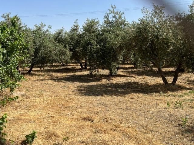 Finca/Hus på landet till salu i La Zubia - 180 000 € (Ref: 9289683)