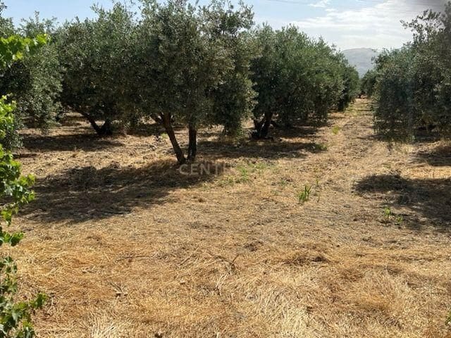 Finca/Hus på landet till salu i La Zubia - 180 000 € (Ref: 9289683)