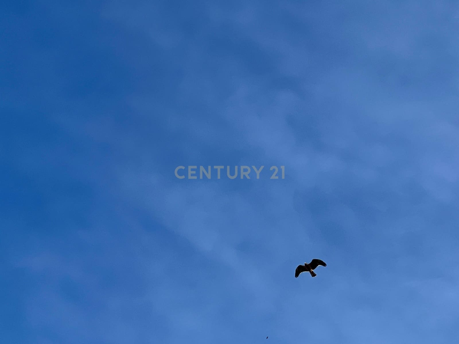 Rakentamaton maa myytävänä paikassa Padul - 16 900 € (Ref: 9289686)