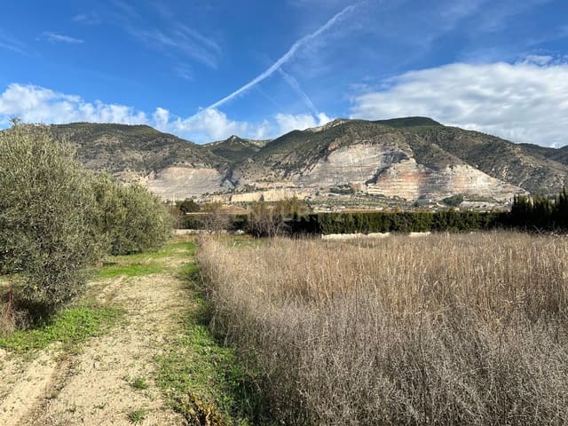 Grond te koop in Padul - € 16.900 (Ref: 9289686)