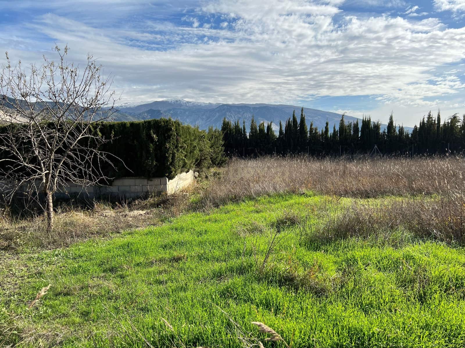 Rakentamaton maa myytävänä paikassa Padul - 16 900 € (Ref: 9289686)