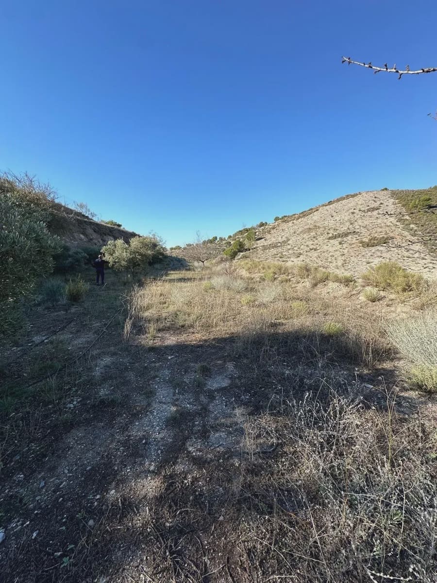 Grunde uden byggetilladelser til salg i Velez de Benaudalla - € 40.000 (Ref: 9289692)