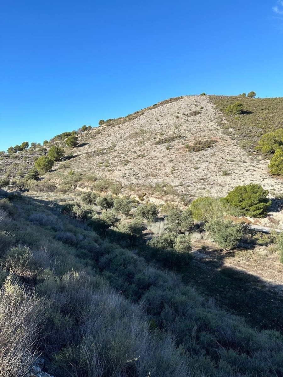 Grunde uden byggetilladelser til salg i Velez de Benaudalla - € 40.000 (Ref: 9289692)