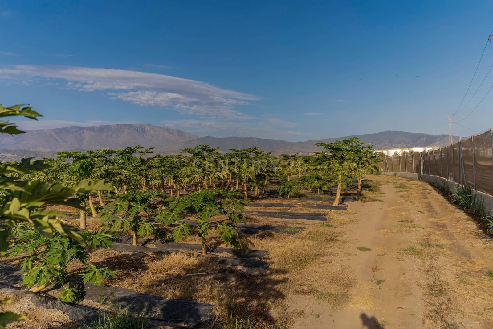 Mark till salu i Motril - 65 000 € (Ref: 9289704)