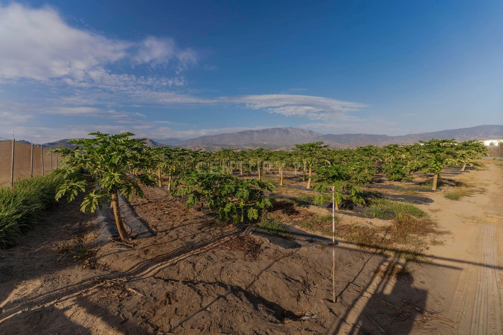 Mark till salu i Motril - 65 000 € (Ref: 9289704)