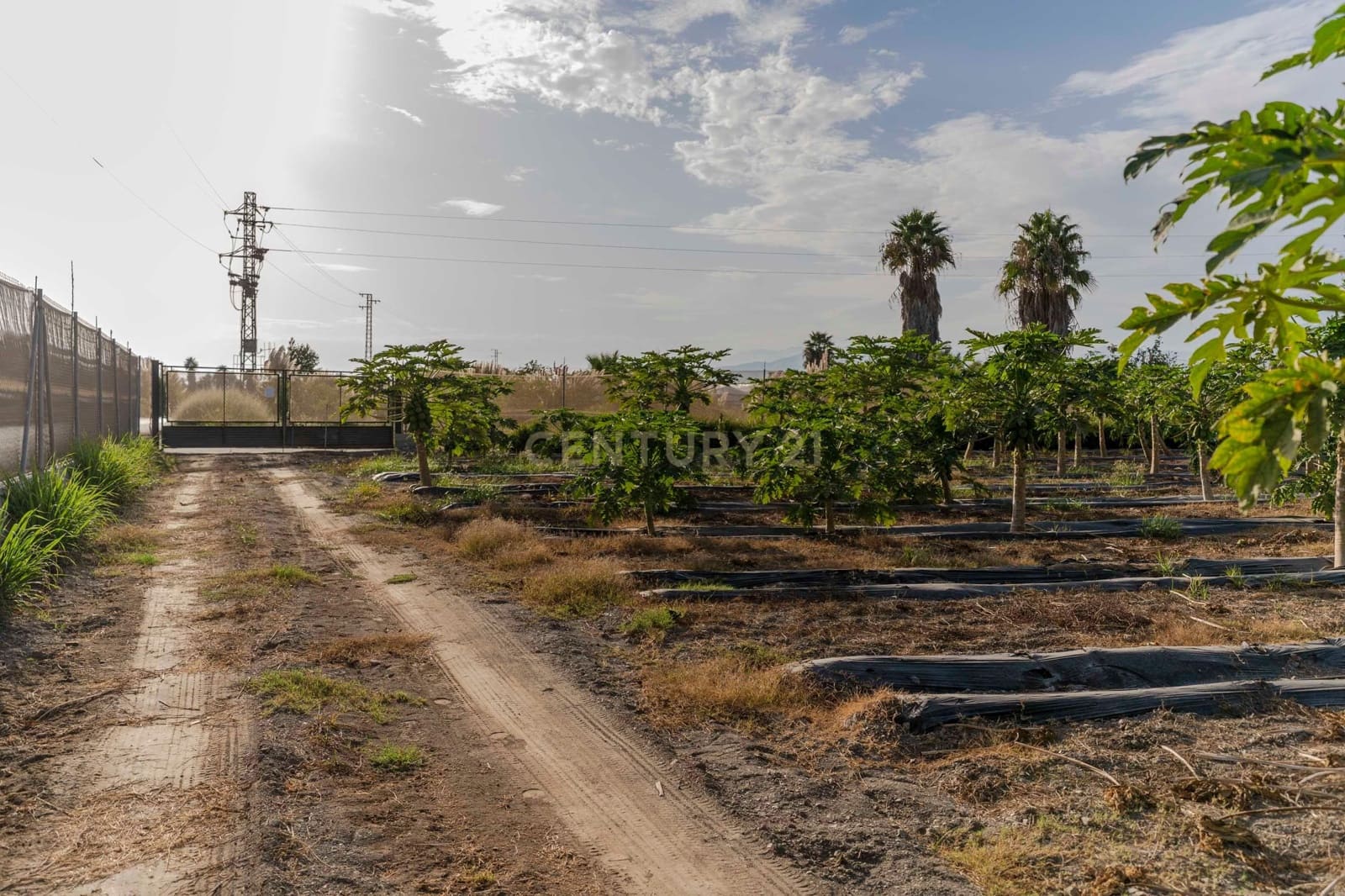 Mark till salu i Motril - 65 000 € (Ref: 9289704)