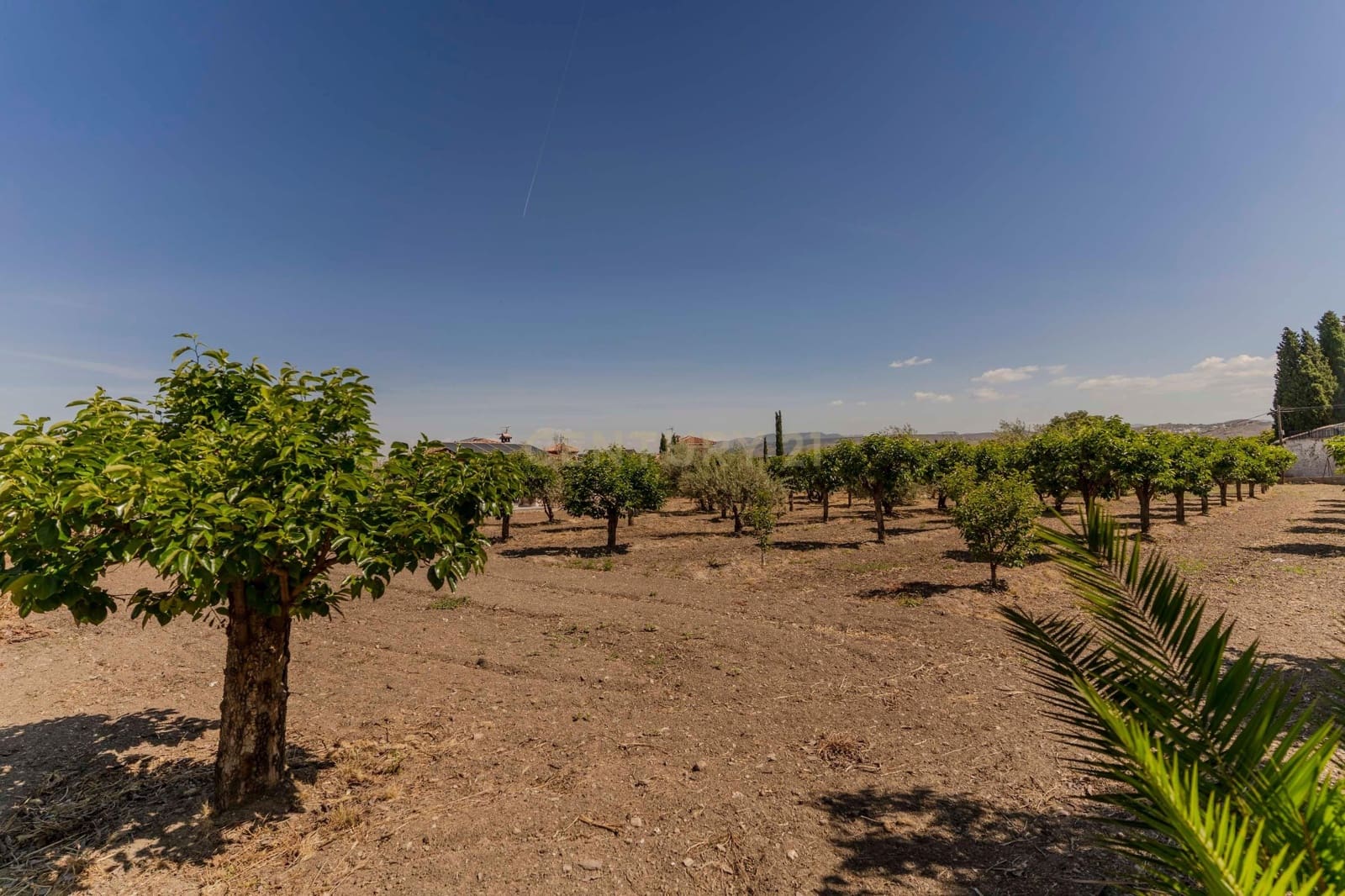 Finca/Hus på landet till salu i La Zubia - 700 000 € (Ref: 9289708)