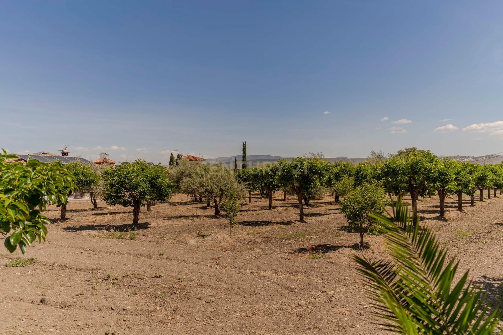 Finca/Hus på landet till salu i La Zubia - 700 000 € (Ref: 9289708)