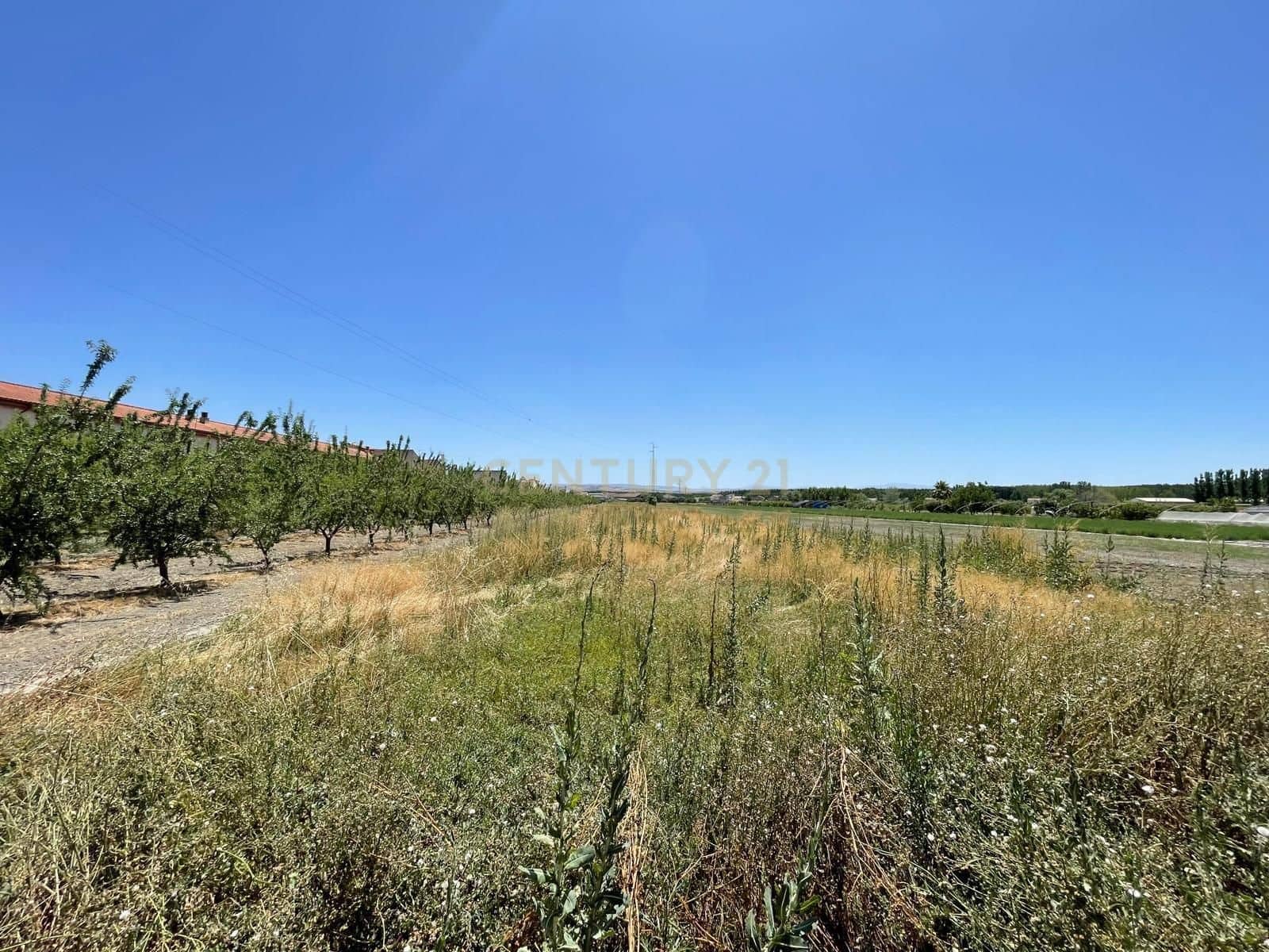 Undeveloped Land for sale in Fuente Vaqueros - € 65,000 (Ref: 9289714)