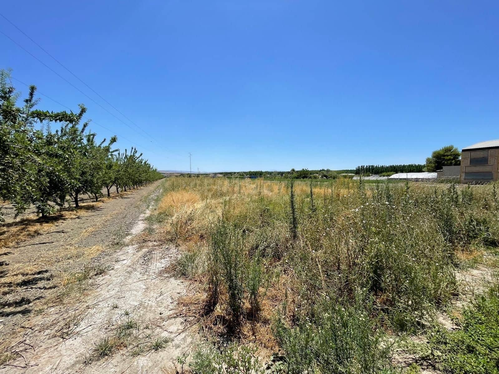 Undeveloped Land for sale in Fuente Vaqueros - € 65,000 (Ref: 9289714)