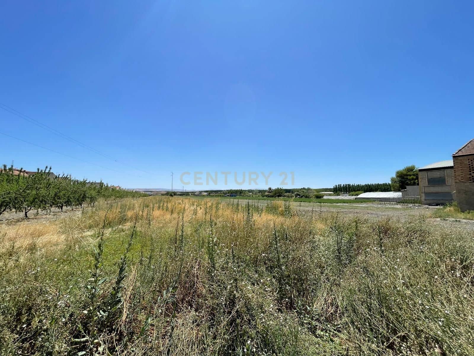 Undeveloped Land for sale in Fuente Vaqueros - € 65,000 (Ref: 9289714)