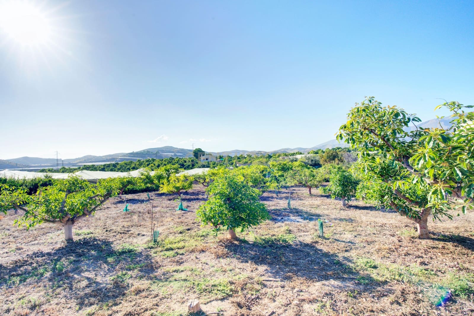 3 camera da letto Finca/Casa di Campagna in vendita in Motril con piscina garage - 400.000 € (Rif: 9289722)