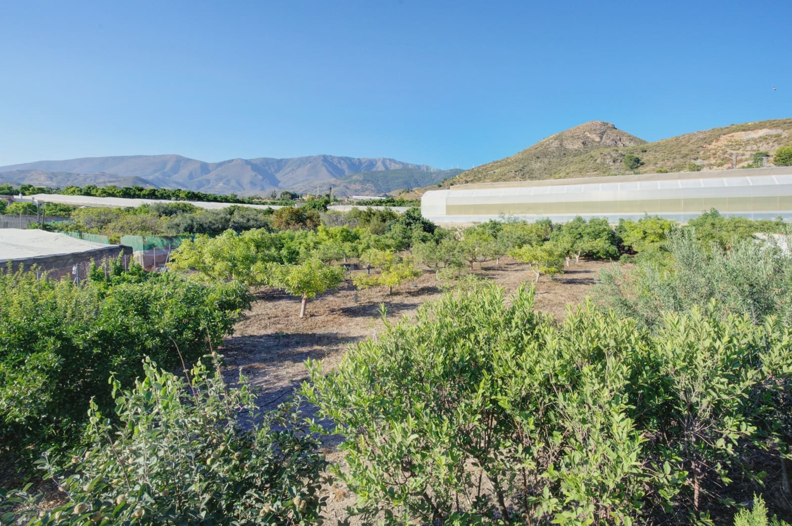 3 camera da letto Finca/Casa di Campagna in vendita in Motril con piscina garage - 400.000 € (Rif: 9289722)