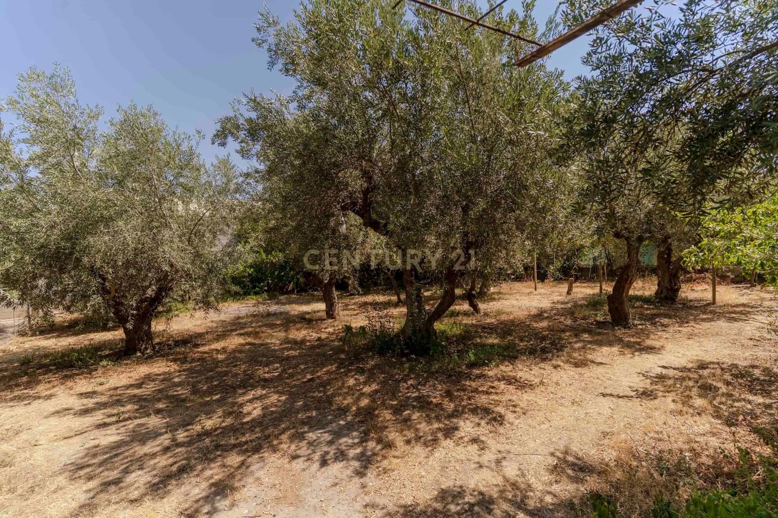 30 bedroom Finca/Country House for sale in Gojar - € 970,000 (Ref: 9289739)