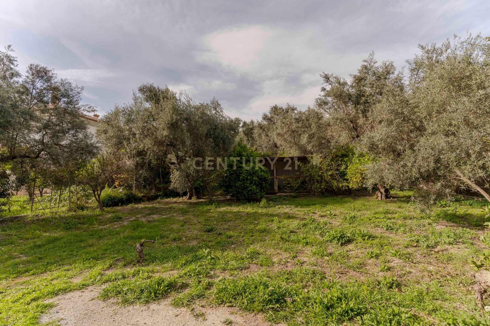 4 soveværelse Villa til salg i El Valle - € 279.900 (Ref: 9289742)