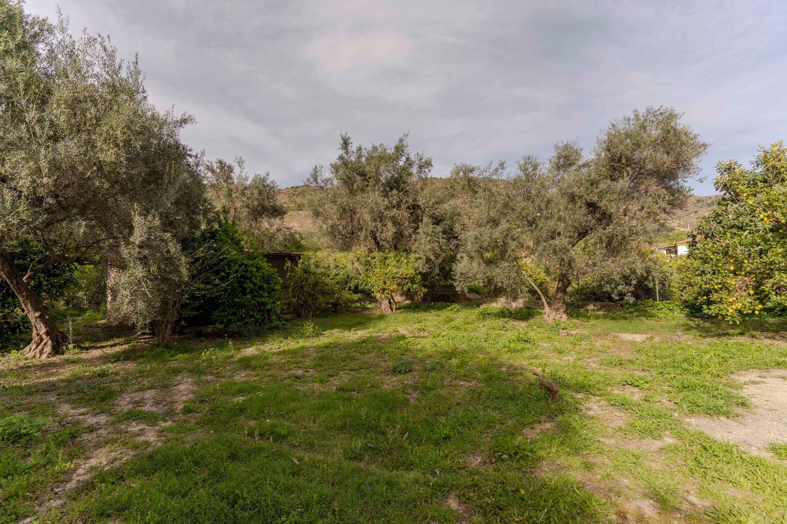 4 soveværelse Villa til salg i El Valle - € 279.900 (Ref: 9289742)