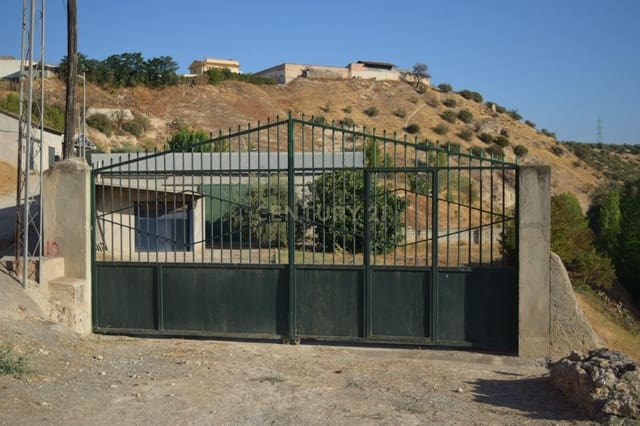 Commercial for sale in Pinos Puente - € 92,000 (Ref: 9289839)