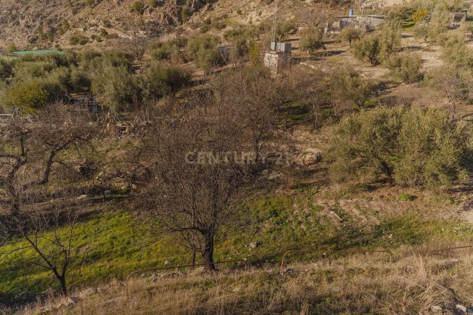 4 soveværelse Villa til salg i Moclin med swimmingpool - € 185.000 (Ref: 9289842)