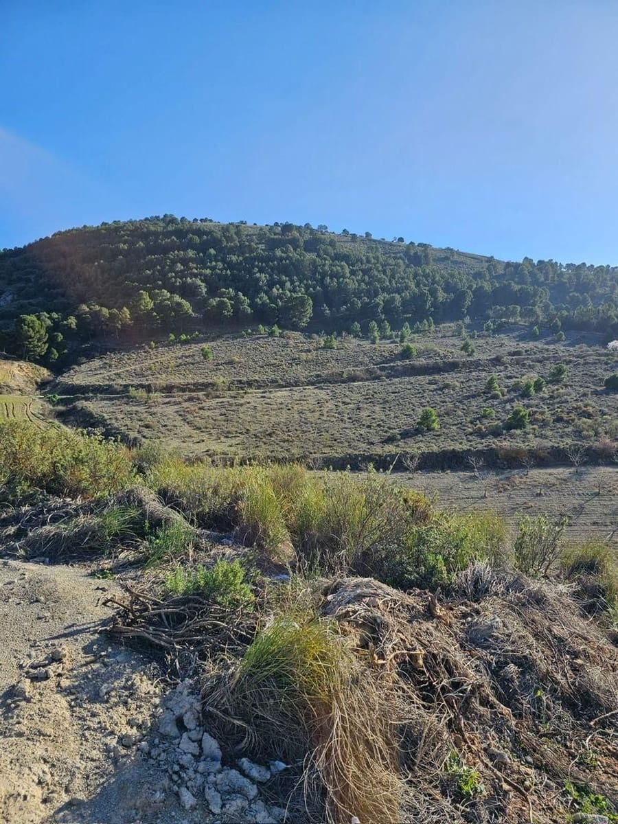 Tomt till salu i Dilar - 78 000 € (Ref: 9289845)