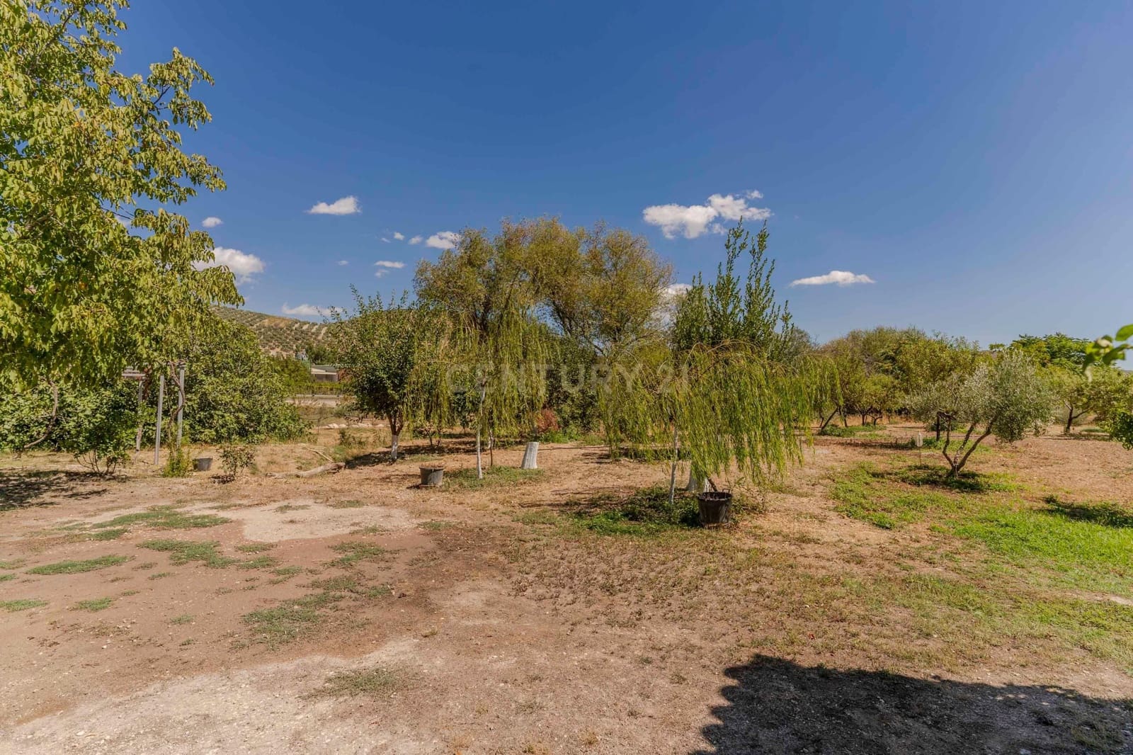 5 soverom Finca/Herregård til salgs i Huelma - € 650 000 (Ref: 9289849)