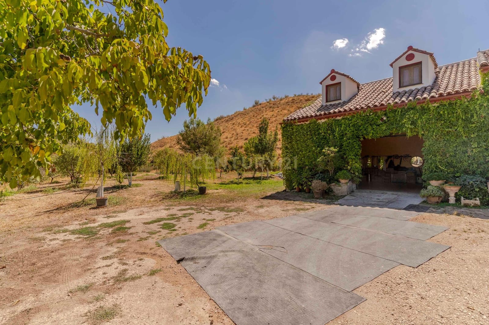 5 soverom Finca/Herregård til salgs i Huelma - € 650 000 (Ref: 9289849)