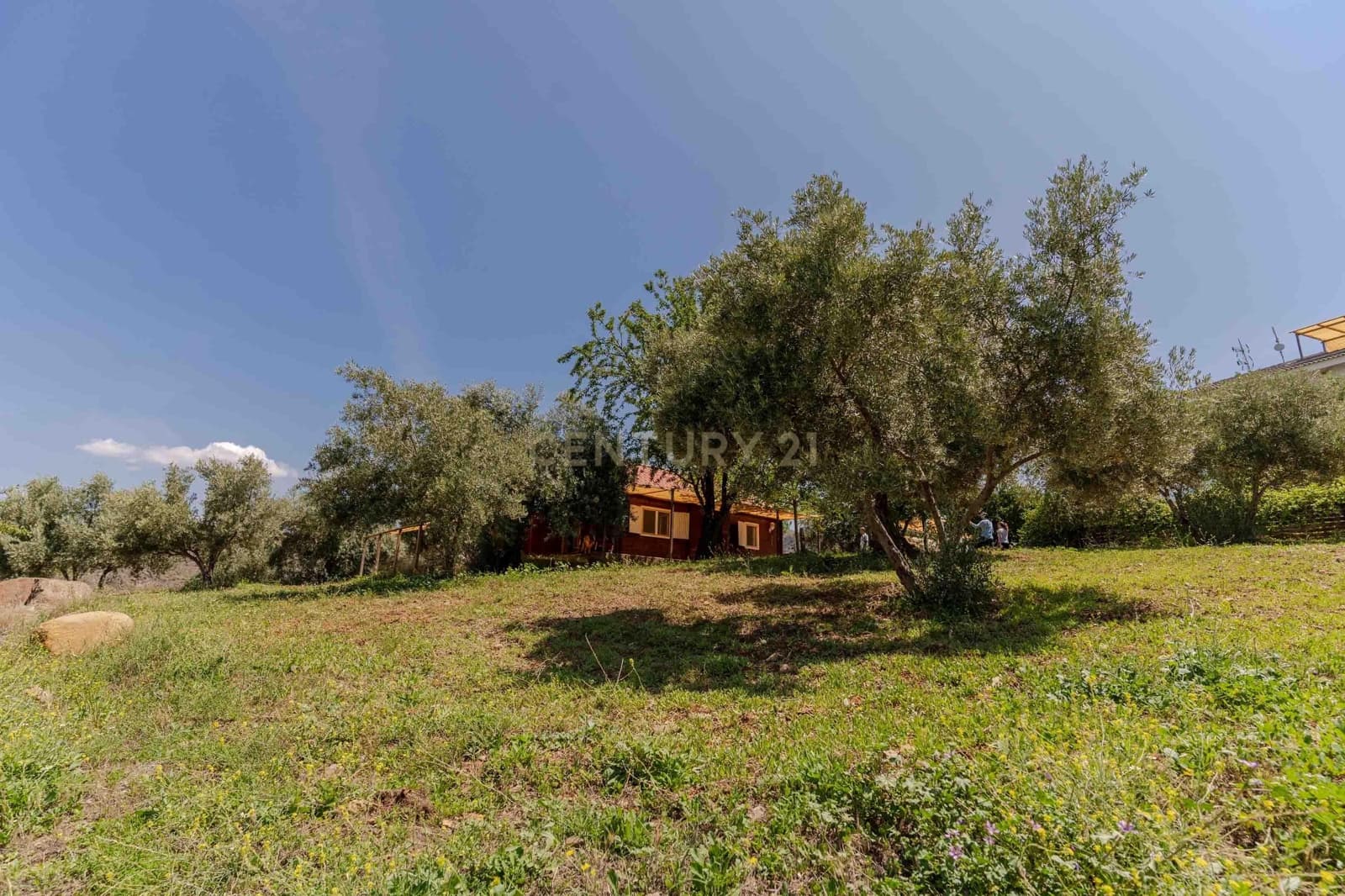 15 sypialnia Hotel na sprzedaż w Pinos Genil z garażem - 999 000 € (Ref: 9293615)