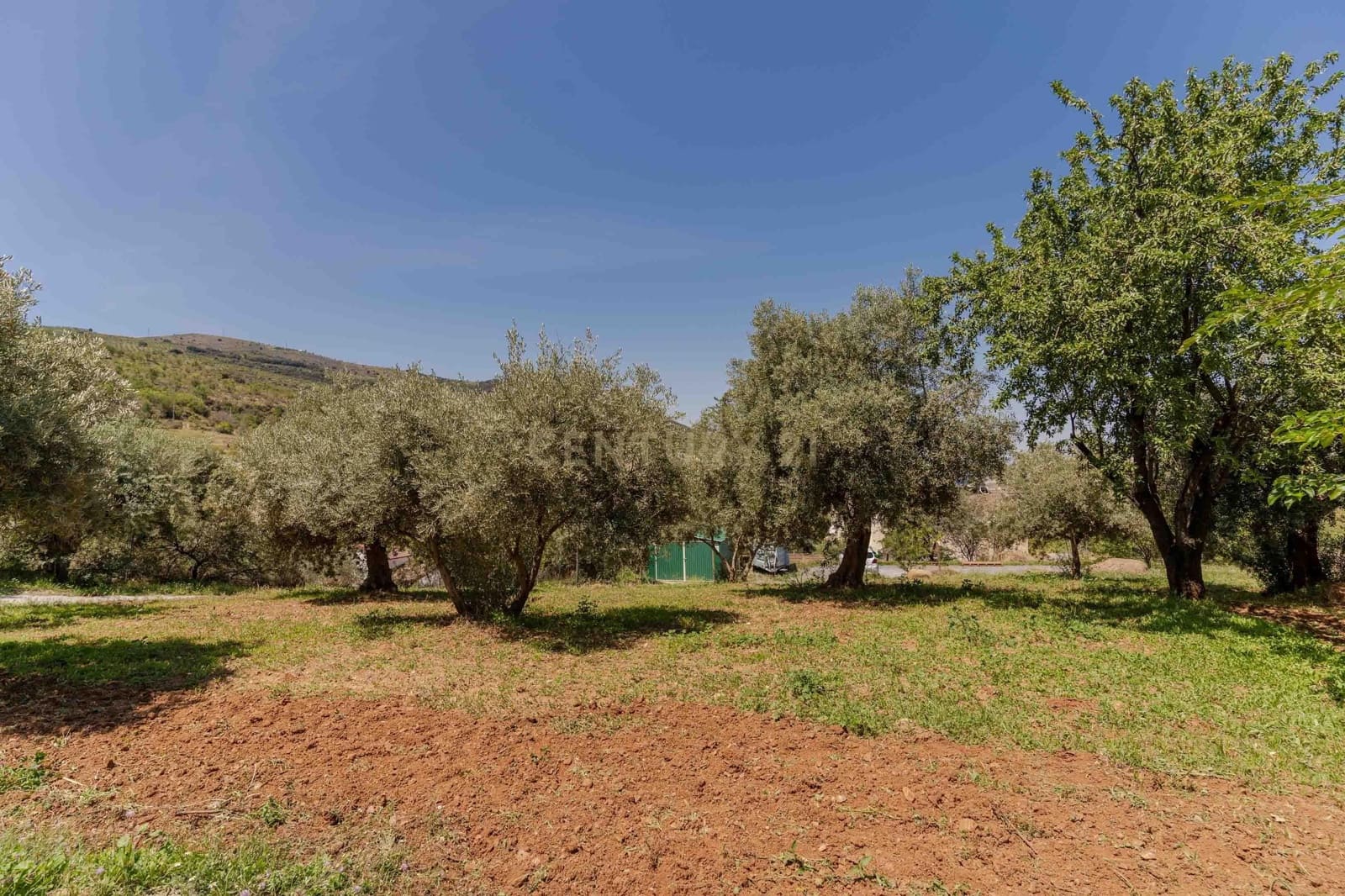 15 sypialnia Hotel na sprzedaż w Pinos Genil z garażem - 999 000 € (Ref: 9293615)