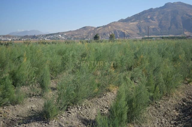 Grunde uden byggetilladelser til salg i Pinos Puente - € 69.000 (Ref: 9296087)