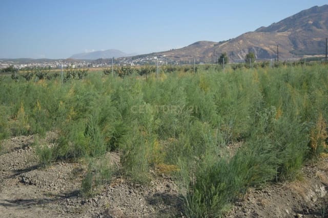 Grunde uden byggetilladelser til salg i Pinos Puente - € 69.000 (Ref: 9296087)