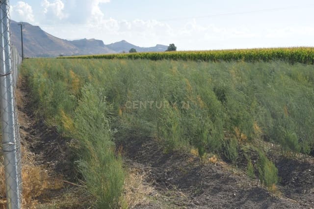 Grunde uden byggetilladelser til salg i Pinos Puente - € 69.000 (Ref: 9296087)